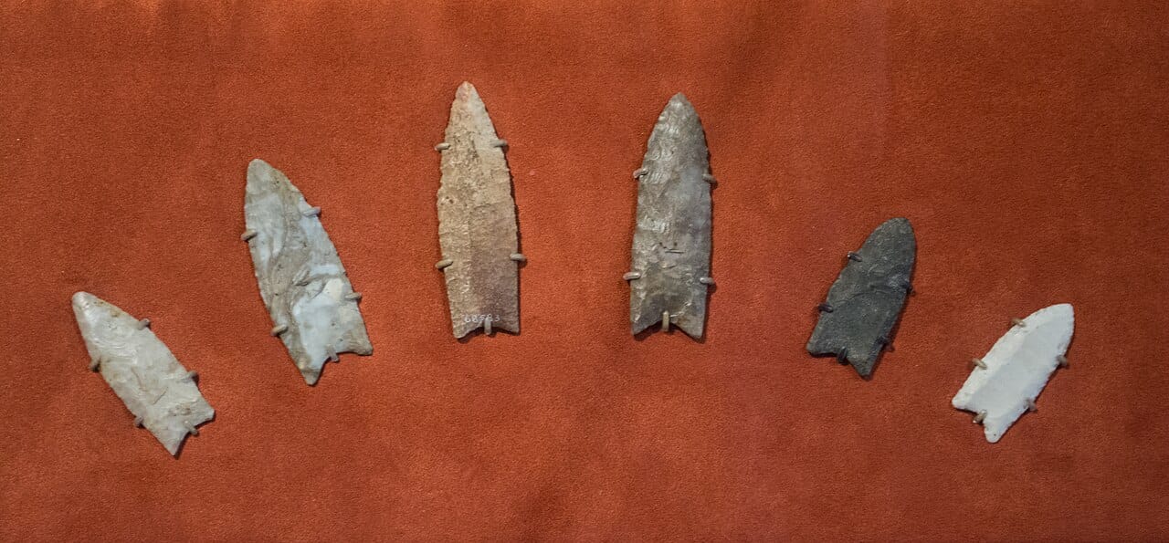 Clovis points. The disappearance of the Clovis tradition from the archaeological record around the same time as the cooling and the megafaunal losses is part of what the hypothesis proposes to explain with one cause.