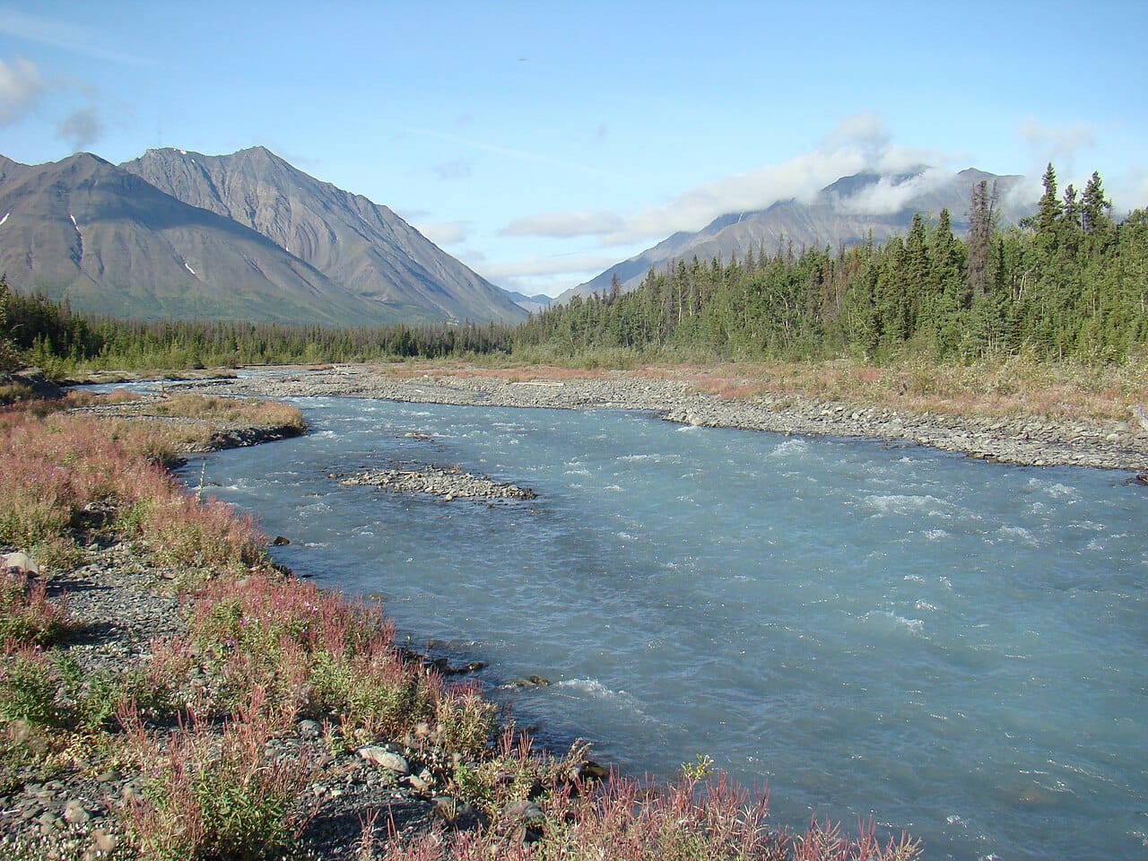 Quill Creek in Kluane National Park, at the foot of the Saint Elias Mountains. This corner of the Yukon holds Mount Logan, the highest peak in Canada, amid vast icefields.