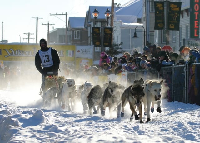 A musher setting out from Whitehorse at the start of the Yukon Quest, a gruelling long-distance dog sled race across the frozen north. It celebrates the wilderness and endurance at the heart of Yukon life.